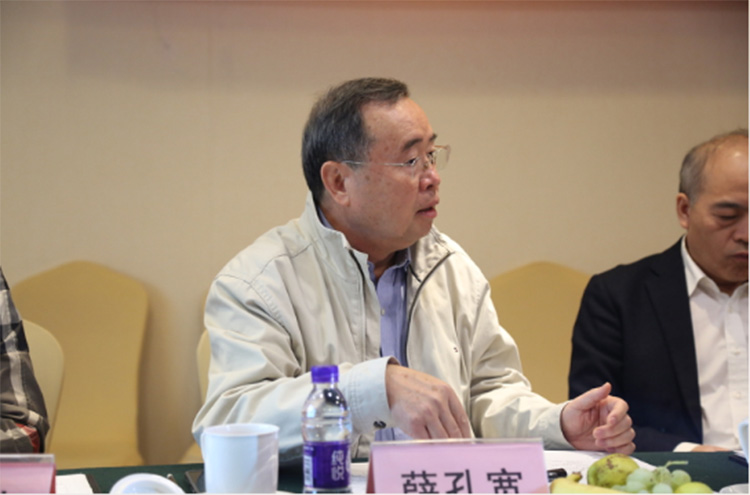 叼嘿视频网站陶瓷集团大规格瓷质薄板